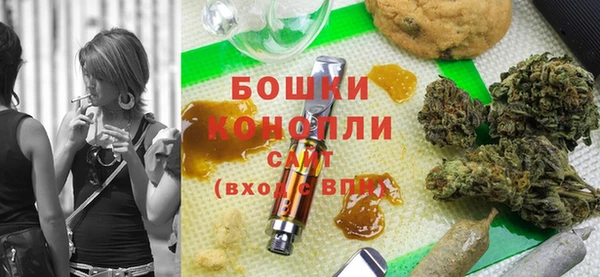 индика Тобольск