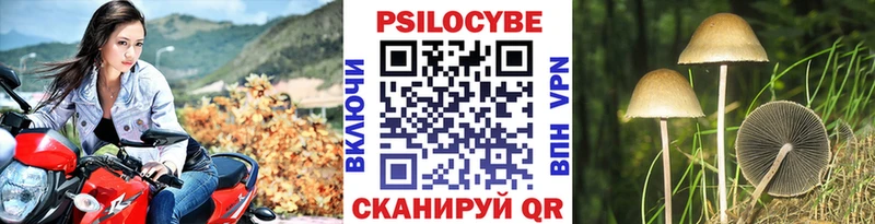 даркнет какой сайт  Павловский Посад  Псилоцибиновые грибы Magic Shrooms 