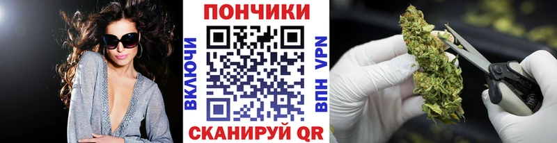 ссылка на мегу как зайти  Павловский Посад  Канабис план  купить наркоту 